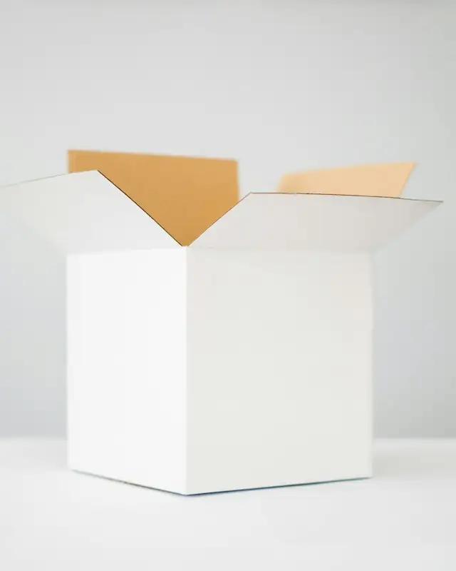 A white carton with its flaps open against a pale background
